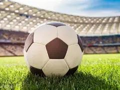 影视明星突,发疾病成植,物人,开云体育,开云体育官网,开云体育app,开云体育平台,KAIYUN,SPORTS,kaiyun登录入口