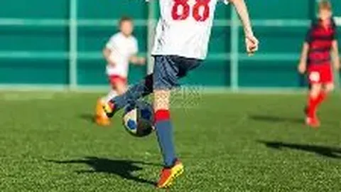 kaiyun体育官网入口网页版 资讯 111724 kbn