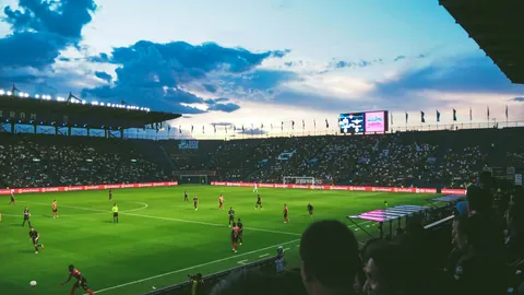 辉煌战绩！8胜5捷报频传！澳系赛事王牌选手4胜3荣耀绽放！